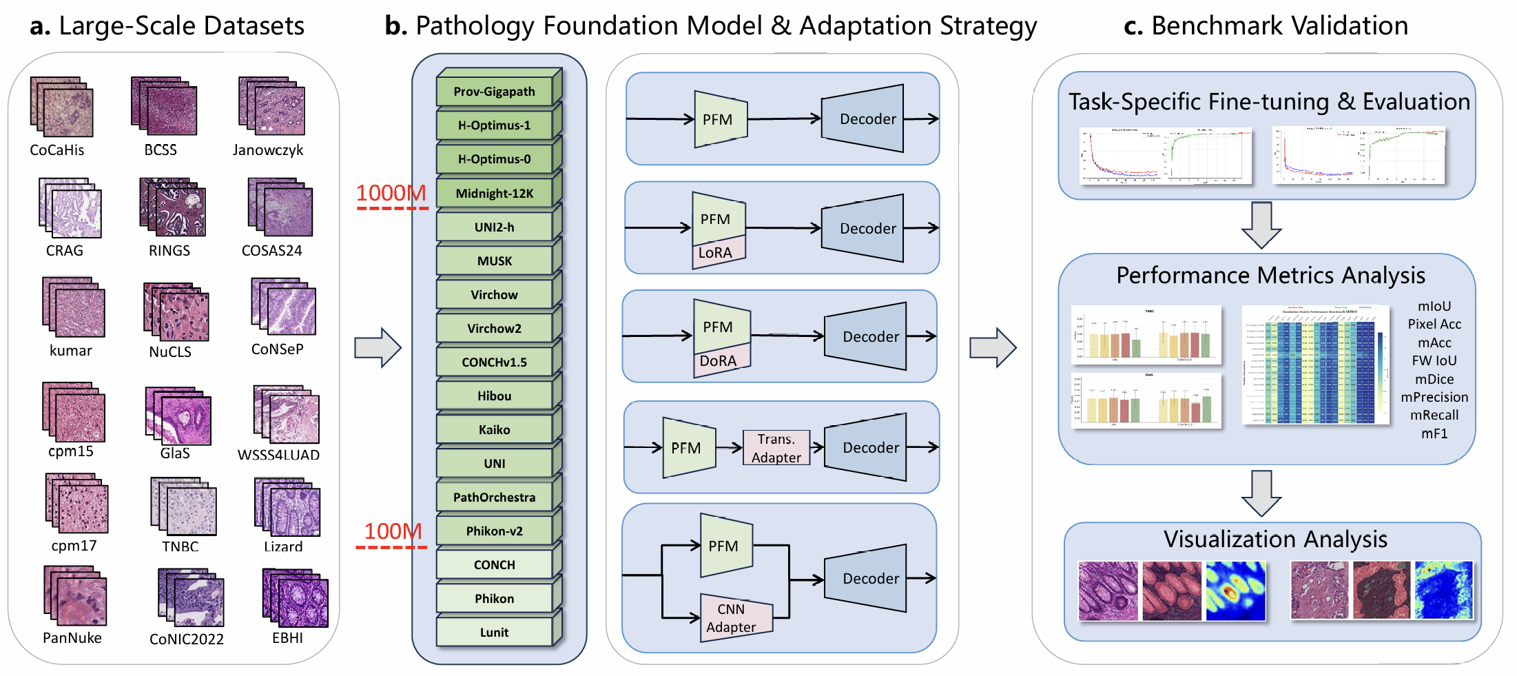 PFM-DenseBench Framework Overview